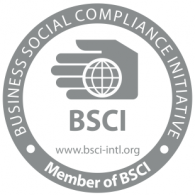BCSI